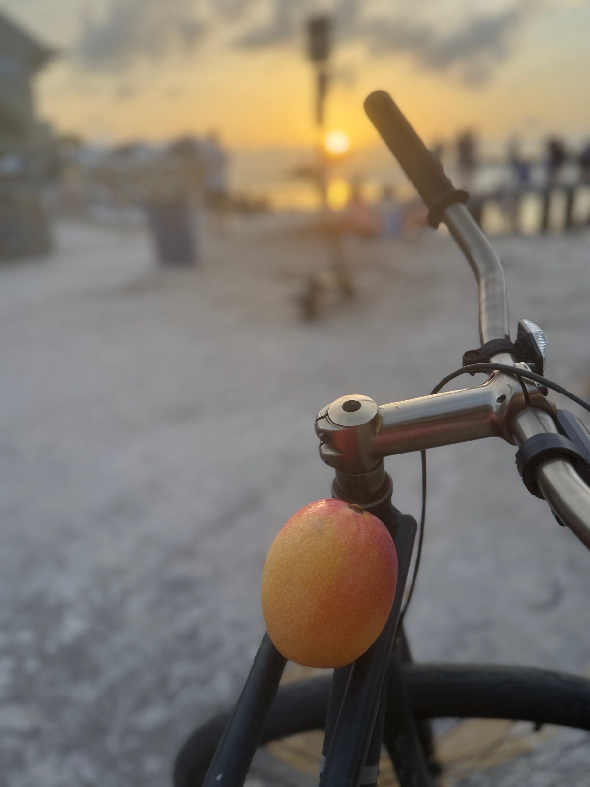 Mangos in the Florida Keys — Island Sweetness at Its Peak