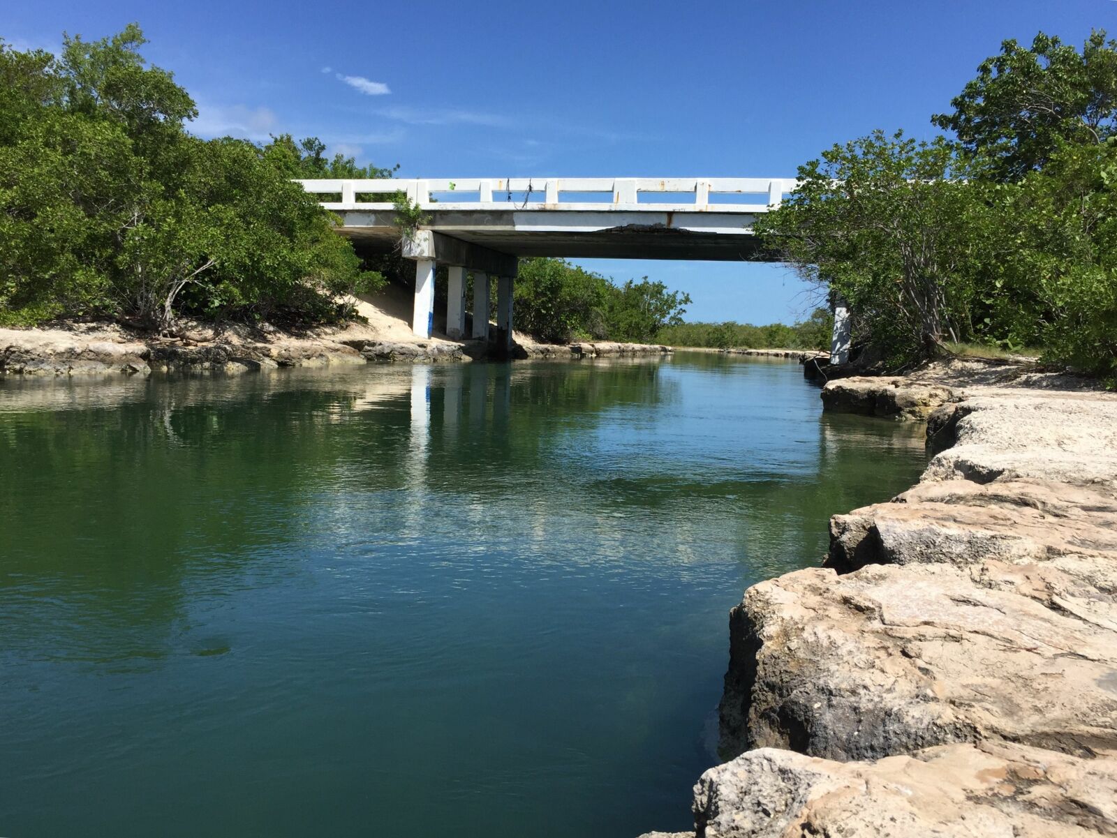 Sugarloaf Jumping Bridge: The Florida Keys’ Best Free Thrill