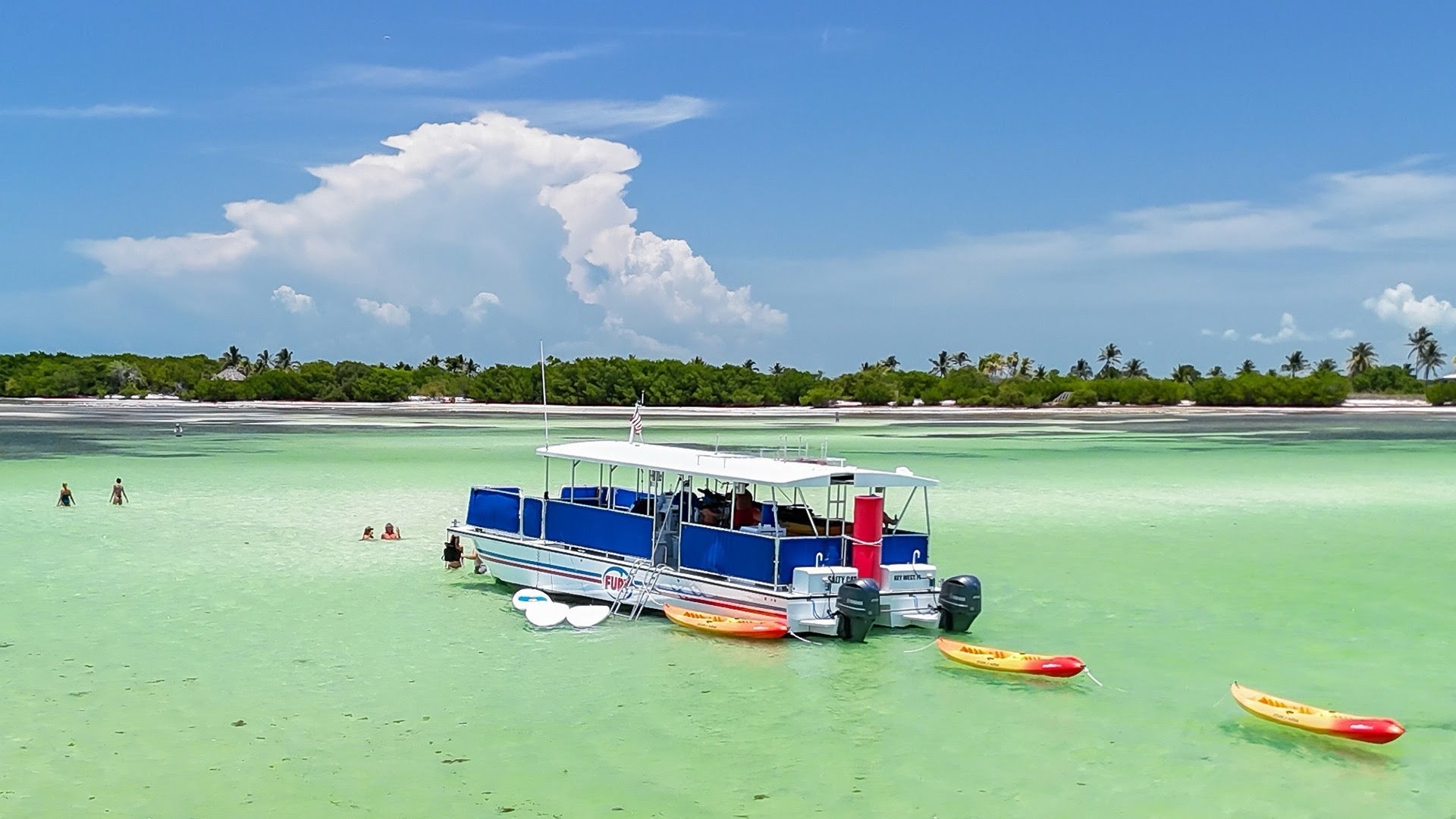 Island Adventure Eco Tour in Key West featuring mangroves, wildlife, and guided nature exploration