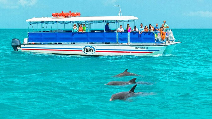 Dolphin Watch & Snorkel tour in Key West featuring wild dolphins, clear blue water, and snorkeling with Fury Adventure Tours